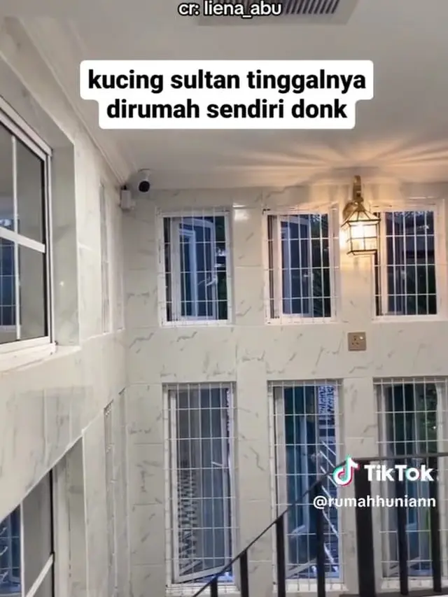 Rumah Kucing Bak Istana Sultan