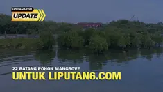 24 Agustus 2022, Liputan6.com merayakan ulang tahunnya yang ke-22. Sebagai kado manis, Ahmad Yusran, pegiat lingkungan hidup di Kota Makassar mempersembahkan 22 tanaman Mangrove Rhizophora yang dia tanam di Kampung Karabba, Kelurahan Tallo, Kecamatan...