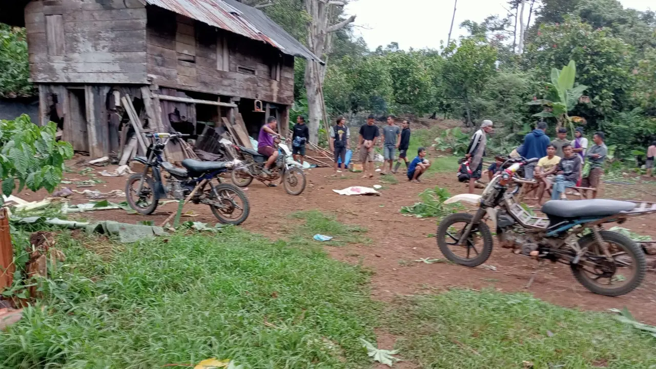 Lokasi kejadian seorang warga tewas setelah diserang gajah liar di Tanggamus, Lampung. Foto : (Istimewa).