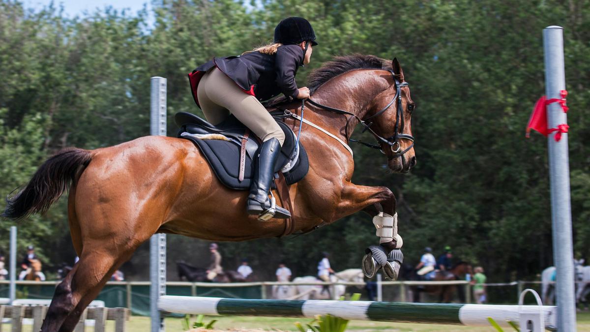 Mengenal Festival Naadam di Mongolia: Bocah 5 Tahun Bisa Jadi Joki Lomba Pacuan Kuda