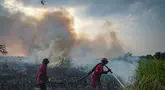Petugas pemadam kebakaran memadamkan kebakaran hutan di lahan gambut Ogan Ilir, Sumatera Selatan, pada 26 September 2025. (AL ZULKIFLI/AFP)