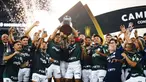 Pemain Palmeiras melakukan selebrasi usai menjuarai Copa Libertadores di Stadion Maracana, Minggu (31/1/2021). Palmeiras menang 1-0 atas Santos. (Mauro Pimentel/Pool via AP)