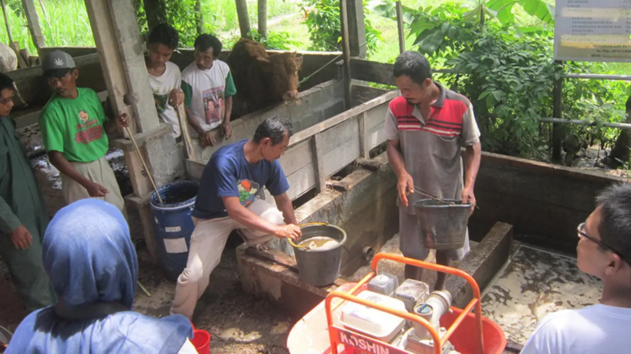 Desa Kulwaru dan Mahasiswa UGM Luncurkan Pupuk Kompos Organik