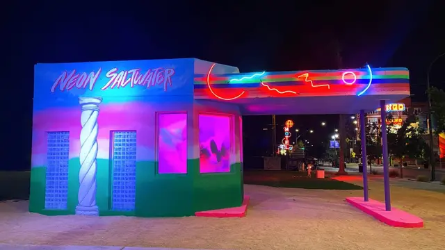 Neon Saltwater