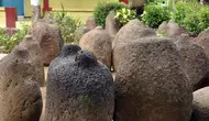 Survei Pohon Durian Berujung Hilangnya Batu Bersejarah Era Medang di Jember