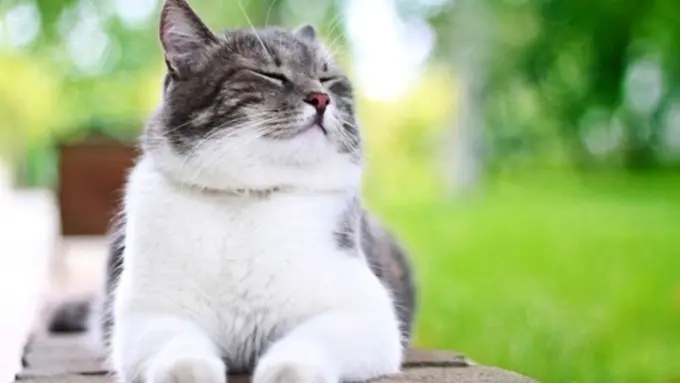 Photo: Copyright Thinkstockphotos.com