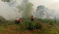 DPR Ungkap Dampak Asap Kebakaran Hutan Kalteng, Tak Cuma ISPA