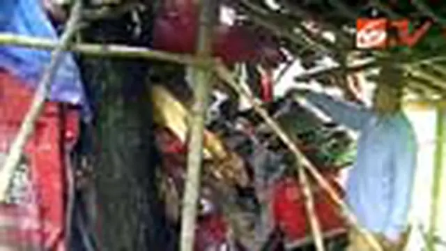 Truk Tronton Tabrak Bus, Dua Kritis