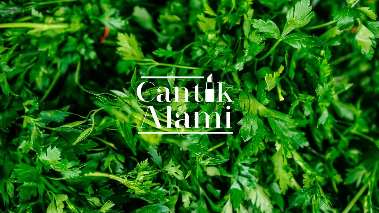 Cantik Alami: Manfaat Daun Seledri untuk Keindahan Rambut
