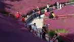Para wisatawan berjalan-jalan di padang rumput muhly berwarna pink di Taman Niugangshan di Fuzhou, Provinsi Fujian, China tenggara, pada 11 Oktober 2020. (Xinhua/Wei Peiquan)