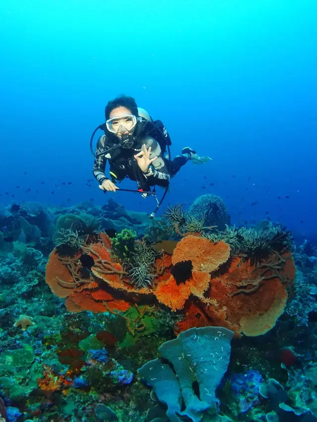 Curi Perhatian, Ini 6 Potret Gisel Diving di Parigi Moutong yang Tuai Sorotan