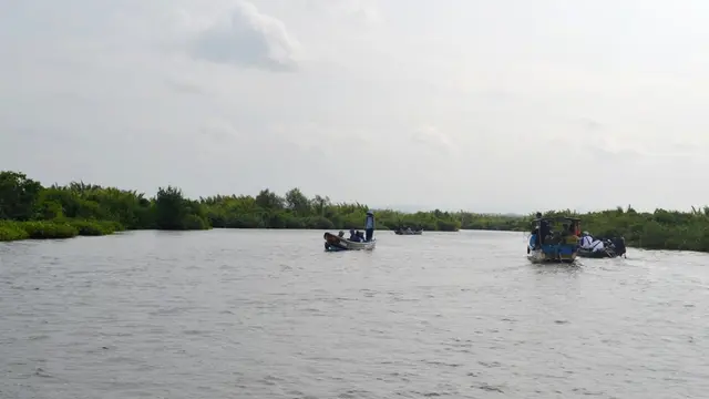 Laguna Segarana Anakan, Cilacap, kini semakin sempit. (Foto: Liputan6.com/Muhamad Ridlo)