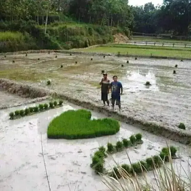 6 Potret Bentuk Hati Nyeleneh Ini Kocak, Cara Absurd Menyatakan Cinta