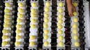 Seorang wanita bekerja di pabrik lilin citronella di Sao Joao da Boa Vista, Brasil, Jumat (12/2/2016). Virus zika yang sudah menyebar membuat penjualan lilin citronella, yang merupakan lilin pengusir nyamuk mengalami kenaikan. (REUTERS/Paulo Whitaker)