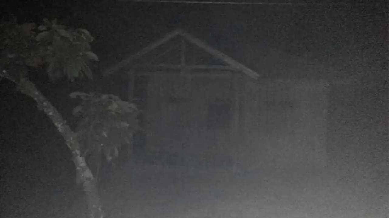 Pohon di Kota Diberi Lampu, Warga Dusun Malah Tak Dapat Listrik