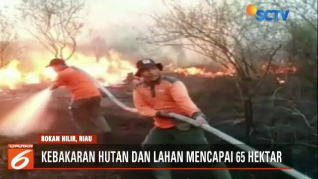 Puluhan hektar hutan dan lahan gambut di Provinsi Riau kembali terbakar. Kebakaran telah berlangsung sejak satu pekan terakhir dan belum berhasil dipadamkan.