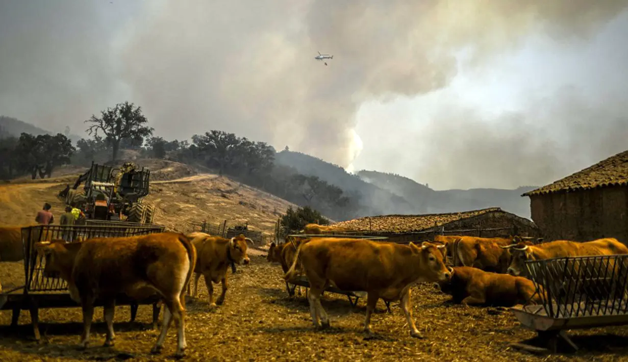 Monchique, yang terakhir terbakar pada tahun 2018, populer di kalangan penduduk lokal dan turis karena mata air panas dan hotelnya. (Patricia DE MELO MOREIRA/AFP)