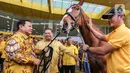 Ketua Umum Partai Gerindra Prabowo Subianto melihat kuda saat berkunjung ke DPP Partai Golkar di Jakarta, Kamis (31/8/2023). (Liputan6.com/Faizal Fanani)