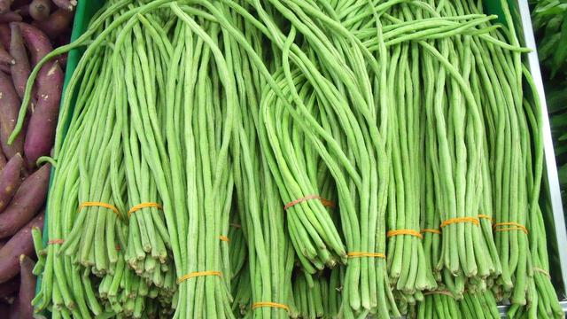 Ilustrasi Kacang Panjang