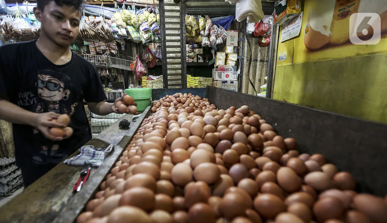 Pedagang menata telur ayam ras di salah satu stan Pasar Kebayoran Lama, Jakarta, Selasa (29/12/2020). Dinas KPKP Provinsi DKI Jakarta menyiapkan operasi pasar guna mengendalikan harga pangan, salah satunya telur ayam yang mengalami kenaikan jelang Tahun Baru 2021. (Liputan6.com/Johan Tallo)