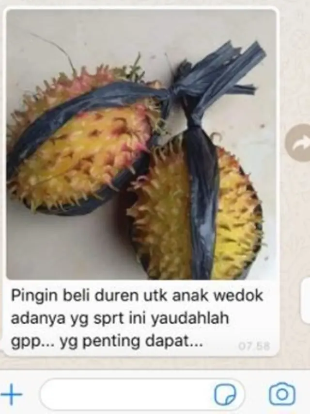 6 Momen Apes saat Mau Makan Durian Ini Tak Sesuai Ekspektasi