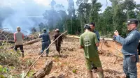 Lokasi hutan Desa Mantadullu yang diduga dibakar dan dimanfaatkan oknum kades dan tokoh masyarakat. (Liputan6.com / Ahmad Yusran)