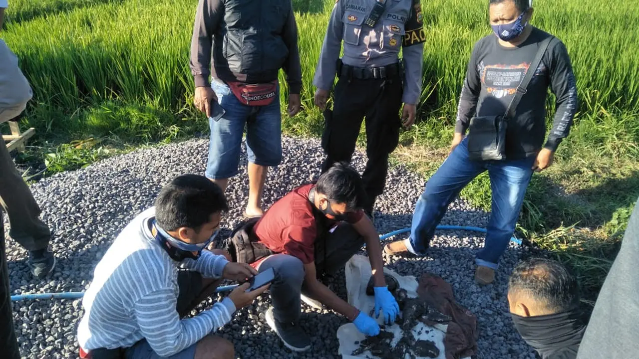 Penemuan Tengkorak Manusia