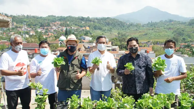 Menteri BUMN, Erick Thohir meninjau lahan kosong sebuah masjid di Bandung yang sukses diubah menjadi pertanian modern berkat dukungan PT PLN.