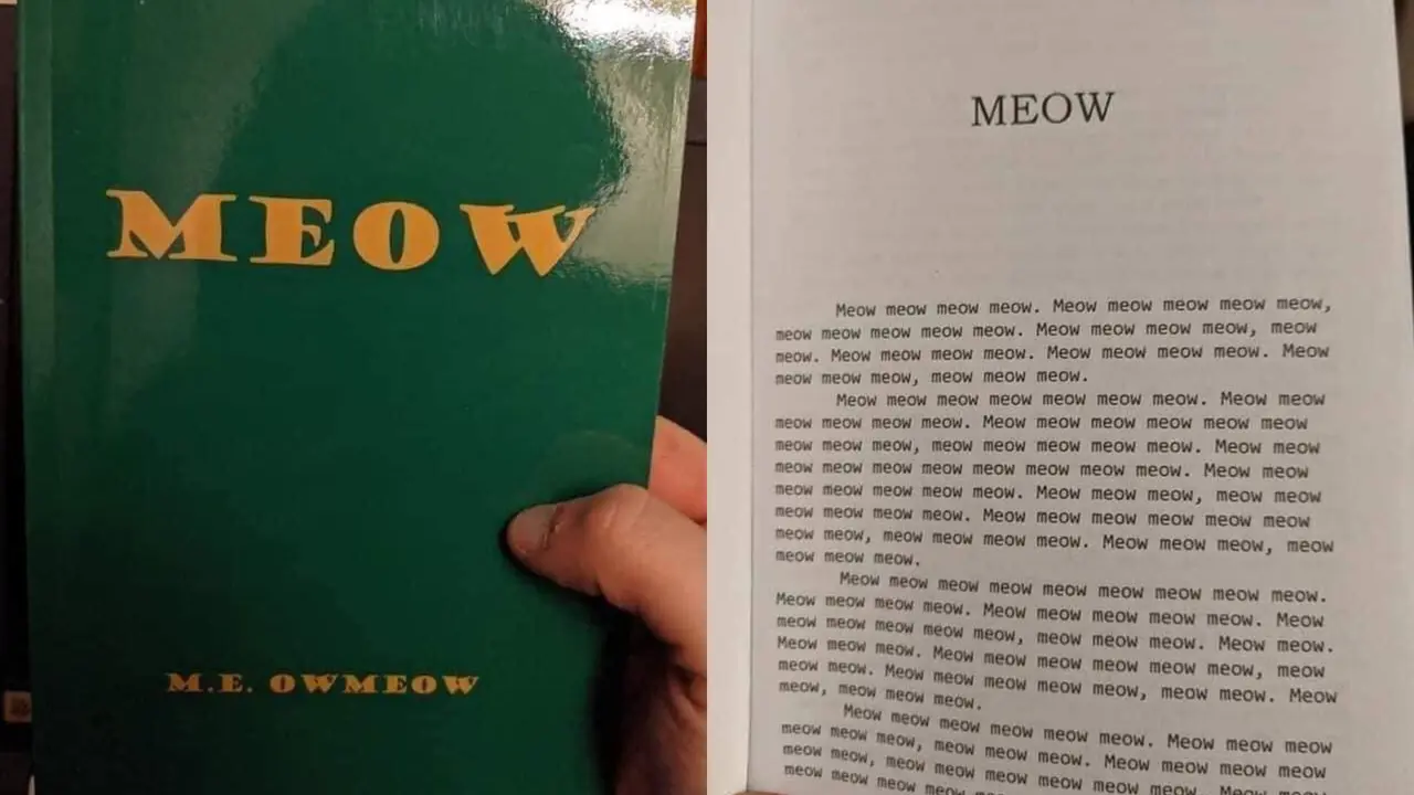 Viral Buku Tentang Kucing yang Isinya hanya Meow, Warganet Bantu Terjemahkan