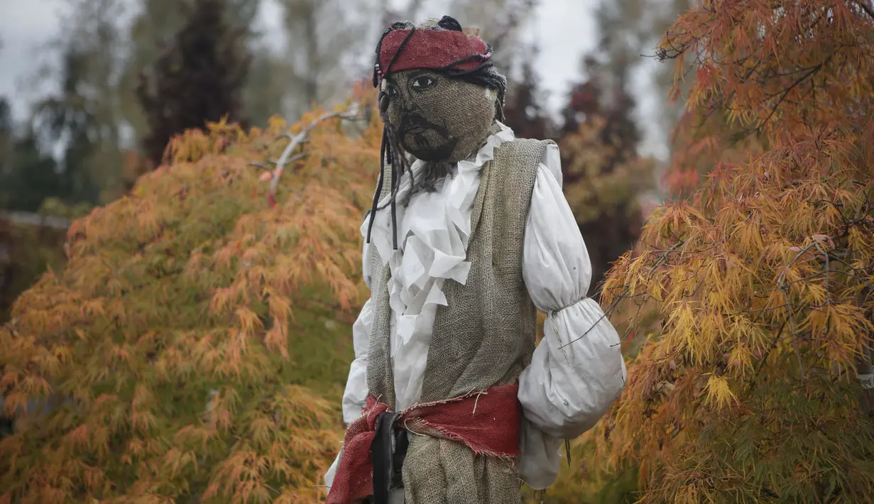 Sebuah orang-orangan sawah ditampilkan dalam Festival Orang-orangan Sawah tahunan jelang perayaan Halloween di Langley, British Columbia, Kanada (19/10/2020). (Xinhua/Liang Sen)