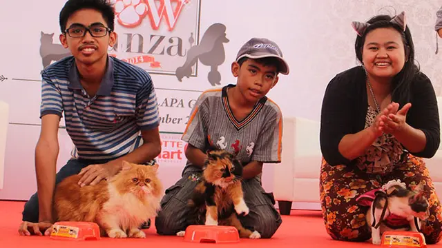 Makin Banyak Orang Pelihara Anjing dan Kucing