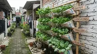 Cara Membuat Rak Sayur Gantung dari Karung Beras Bekas, Modal Nol Rupiah