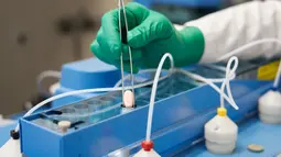Proses pembuatan pil antivirus COVID-19 eksperimental dalam laboratorium Pfizer di Freiburg, Jerman, 16 November 2021. Pfizer meminta regulator untuk mengesahkan pil COVID-19 buatannya setelah terbukti mengurangi rawat inap atau kematian hampir 90 persen. (Handout/Pfizer/AFP)