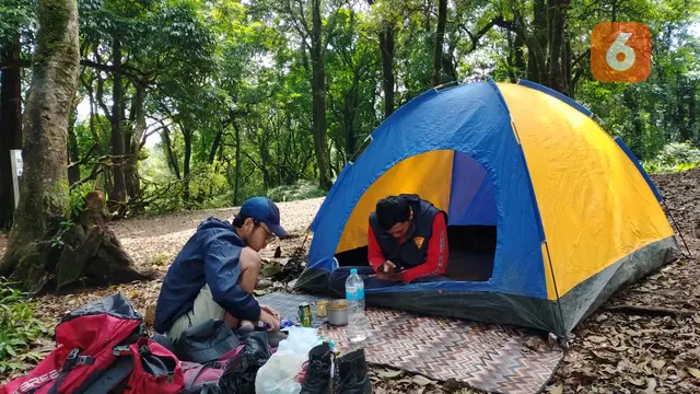 Forest Healing, Berbicara dengan Pohon hingga Memetik Bunga Liar untuk Redam Stres.