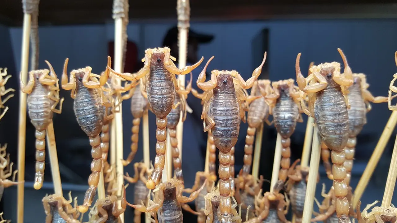 Makanan ekstrem