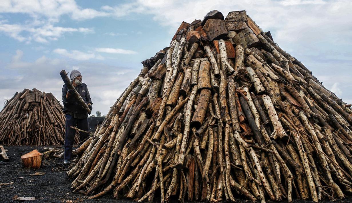 Pekerja menumpuk kayu di fasilitas produksi arang al-Hattab, sebelah timur Kota Gaza, Palestina, 28 Januari 2021. Kayu dibakar selama beberapa hari. (Mohammed ABED/AFP)