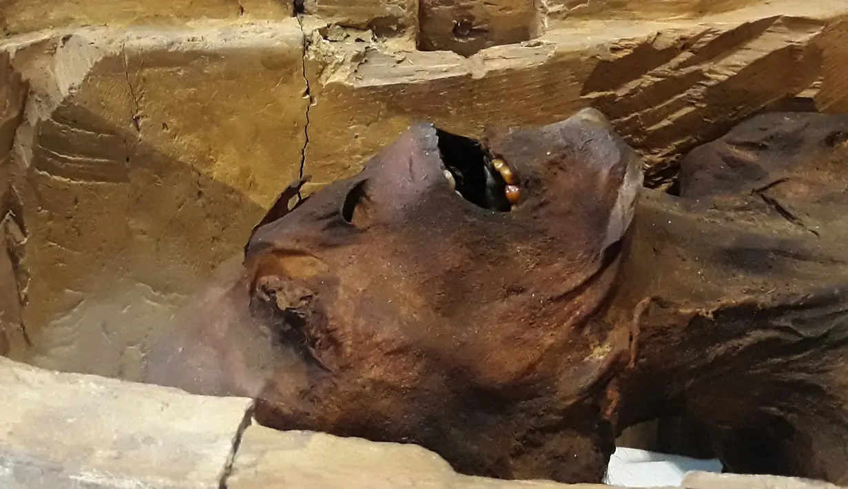 Sosok 'Mumi Menjerit' dipamerkan di Museum Mesir, Kairo, Selasa (14/2). Identitas 'Mumi Menjerit' sebenarnya telah membingungkan arkeolog selama lebih dari satu abad sejak ditemukan di kuil mayat Deir El-Bahari di Mesir. (KHALED DESOUKI/AFP)