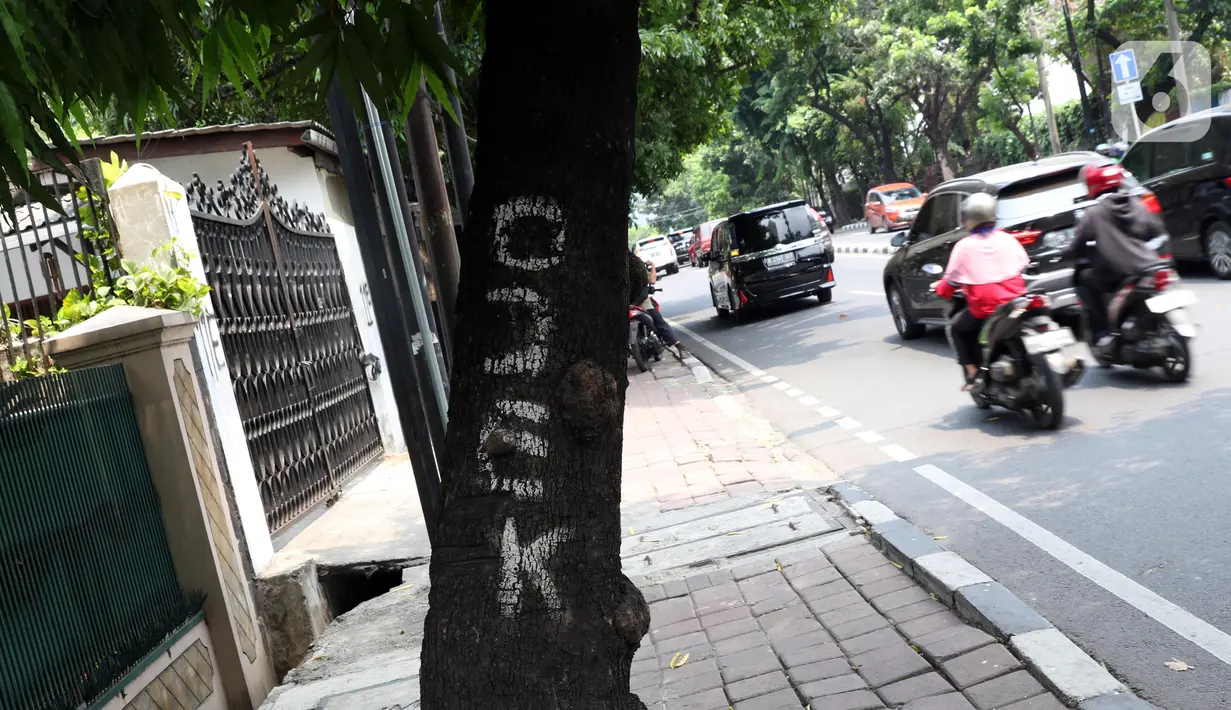 Coretan cat terlihat jelas di batang pohon di kawasan Jalan Pakubuwono, Jakarta, Kamis (21/11/2019). Setiap 21 November diperingati sebagai Hari Pohon Sedunia, hal ini untuk mengingatkan masyarakat akan manfaat tanaman bagi kehidupan dan pelestarian lingkungan. (Liputan6.com/Helmi Fithriansyah)