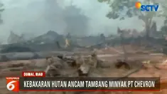 Bahkan, di wilayah Dumai, api mulai mengancam perusahaan tambang minyak PT Chevron Pacific Indonesia.