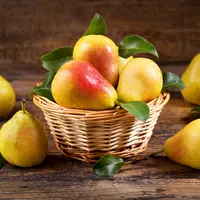 ilustrasri cara mengolah buah pir/Nitr/shutterstock