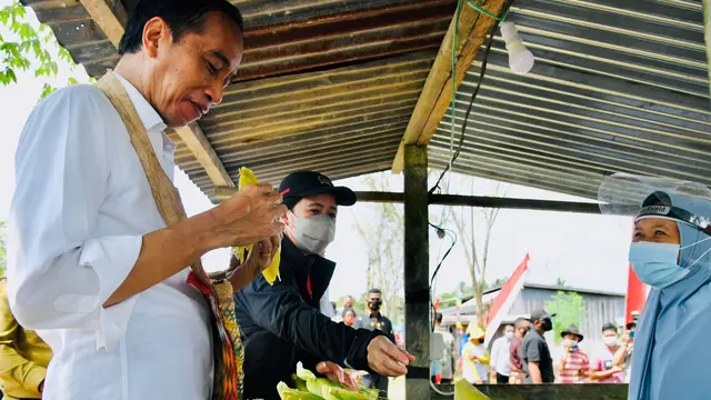 Presiden Jokowi menyempatkan diri mampir untuk membeli jagung rebus di penjual pinggir jalan disela-sela kunjungan kerja di Sorong, Papua Barat.