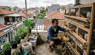 9 Jenis Ternak yang Bisa Panen dalam 1 Bulan, Cocok untuk Pemula