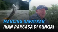 Momen beruntung dan langka dialami oleh pemancing ini ketika mendapatkan ikan raksasa ketika mancing.