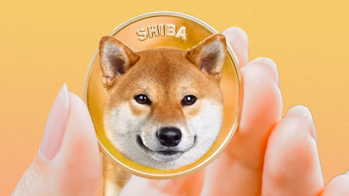 shiba inu crypto twitter