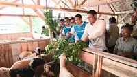 Kementan Bareng PLN Sulap Lahan Kritis jadi Tempat Pengembangan  Biomassa