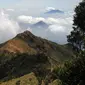 Punggung buaya tampak dari kejauhan