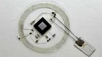 Sebuah sensor mungil elektronik dapat ditanam dalam otak untuk pemantauan sejumlah fungsi dan meluruh dengan sendirinya setelah masa pakai.