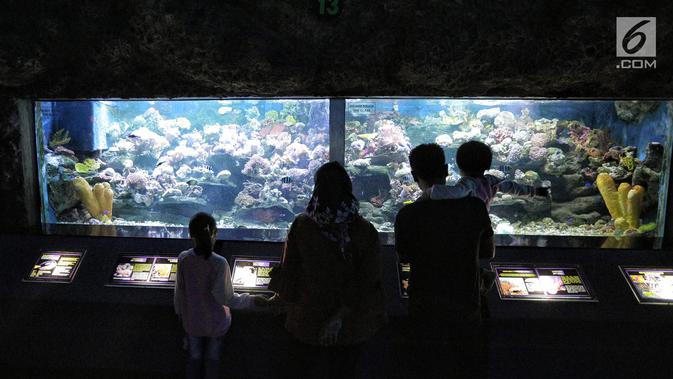 Sebuah keluarga mengamati ikan di akuarium SeaWorld Ancol, Jakarta, Jumat (17/8). Seaworld menjadi tempat wisata alternatif warga saat libur panjang akhir pekan ini yang bertepatan dengan HUT ke-73 Republik Indonesia. (Liputan6.com/Faizal Fanani)