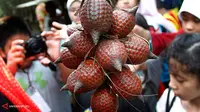 Mudik ke Kampung Buah Mekarsari, Yuk!