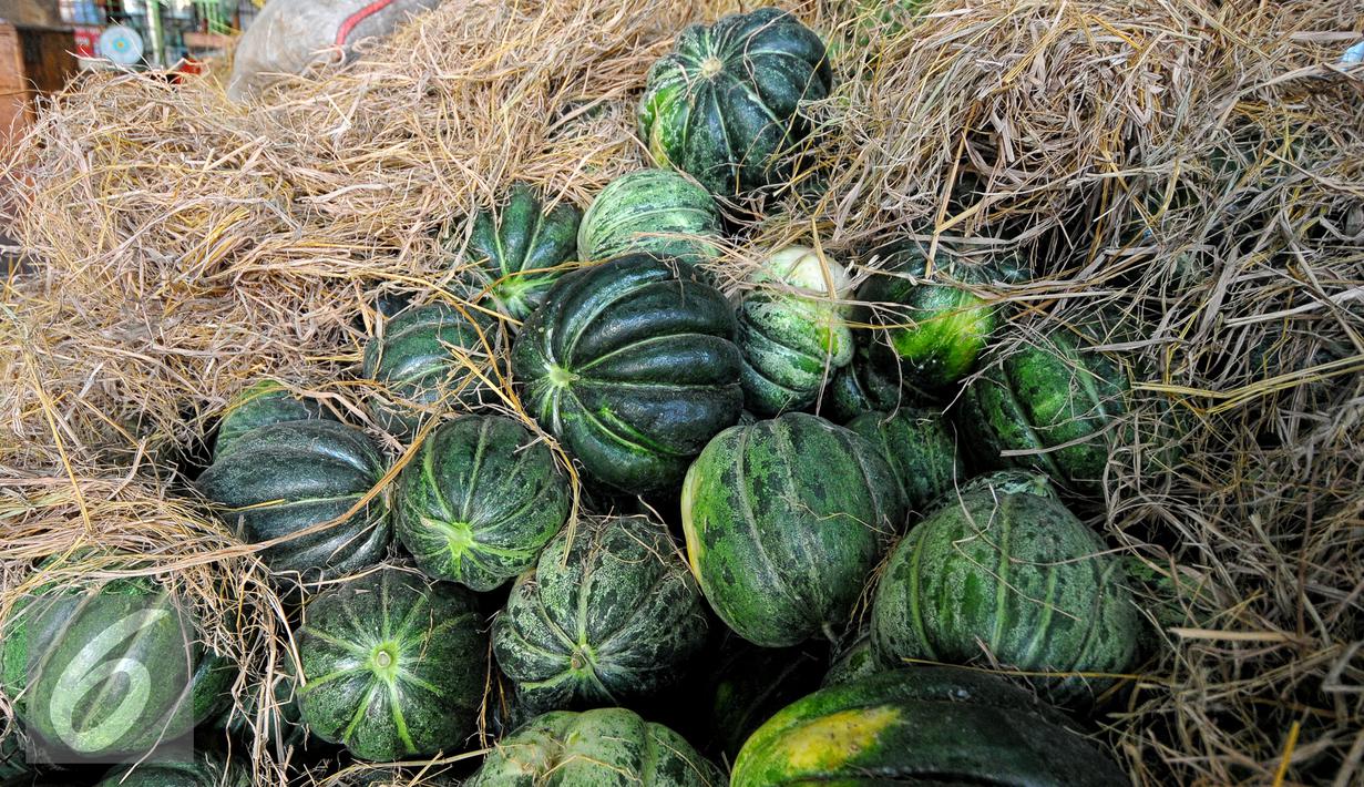 Memasuki bulan Ramadan penjualan buah labu blewah yang biasa digunakan sebagai minuman berbuka mengalami kenaikan, Pasar Induk, Kramat Jati, Sabtu, (20/6/2015).  harga buah labu blewah dari Rp. 2.500 menjadi Rp. 4.000 per kg. (Liputan.com/Yoppy Renato)